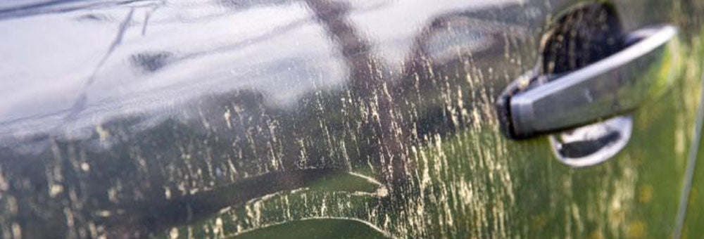 Pollen, sève et soleil : le trio infernal pour votre carrosserie